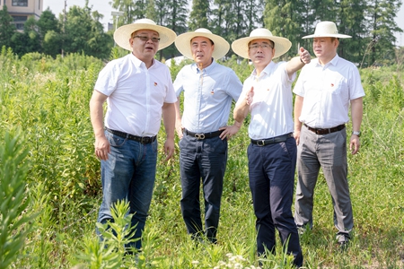 運(yùn)河農(nóng)場(chǎng)_副本.jpg 運(yùn)河農(nóng)場(chǎng)_副本.jpg